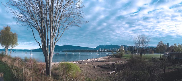 Vancouver West neighbourhood Guide: Everything in a glance – visual guides for neighbourhoods