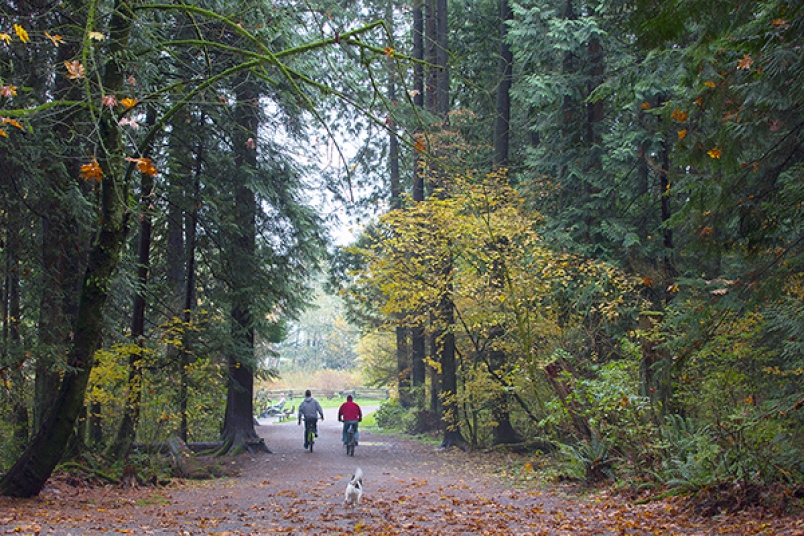 Central Coquitlam Neighbourhood Guide Housing Market
