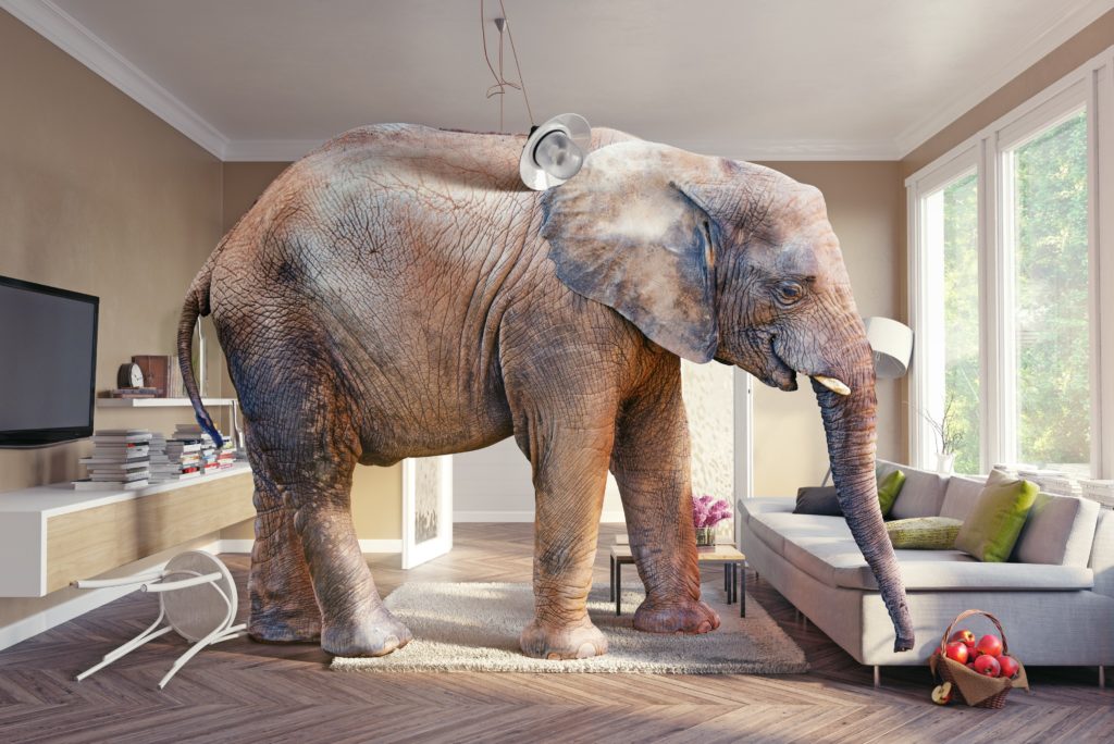 Lets address the question that everyone whats to know (the elephant in the room). Should I consider houses for sale with basement suite even though they are unauthorized?