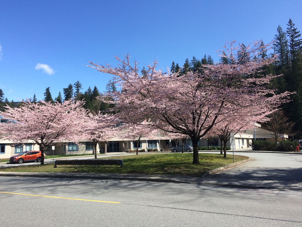 River Springs Coquitlam Neighbourhood Guide Houses, Condos, Townhomes